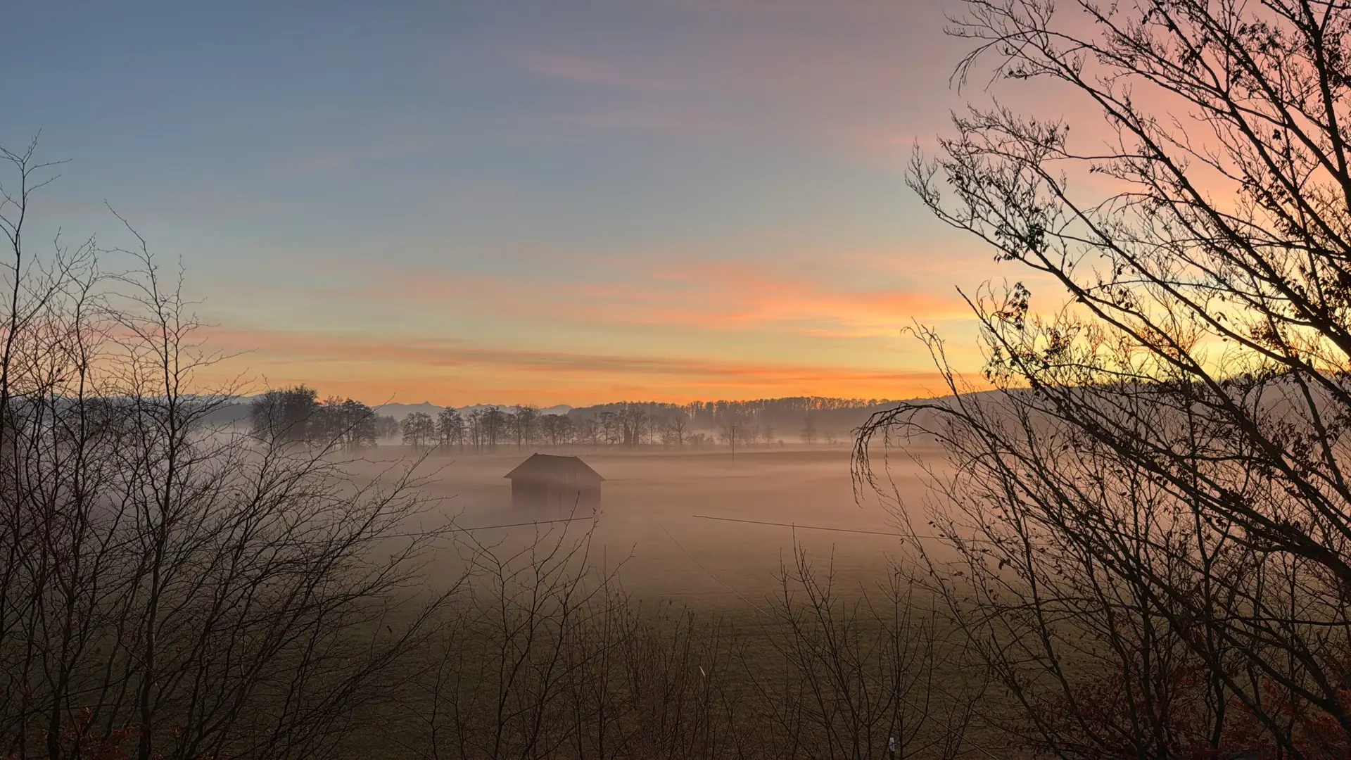 5A6945F9-E7F5-40C3-A1CB-31651368BA36