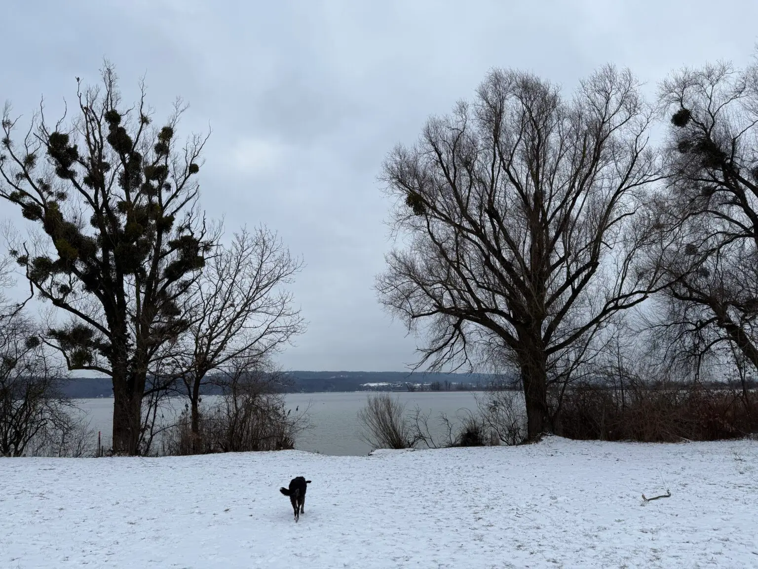 Was brauche ich für den Baugrundverkauf